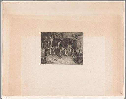 Two men with a bull in a cowshed