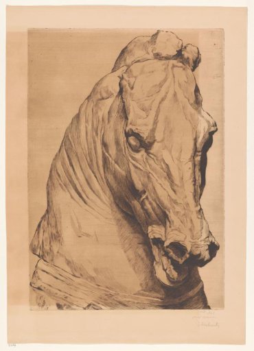 Head of the Unicorn from an Antique Statue