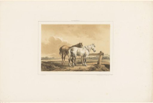 Two Horses in a Meadow by a Fence