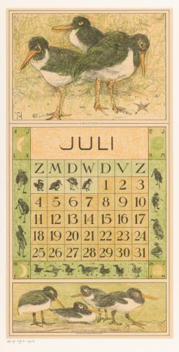 Calendar page July with oystercatchers