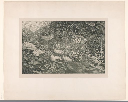Bird in vegetation by the water