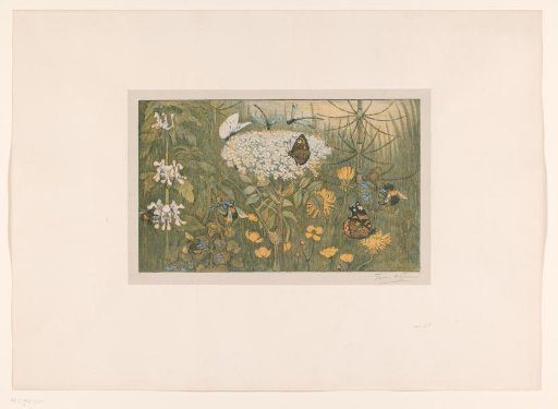 Flowers and butterflies