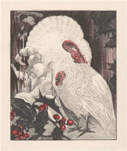 Two white turkeys near holly branches in the snow