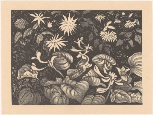 Wild plants and flowers