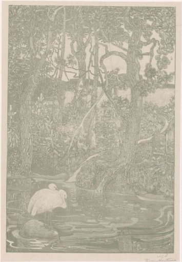 Forest idyll