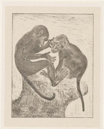 Two apes picking fleas