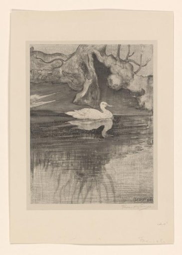 Pond with duck