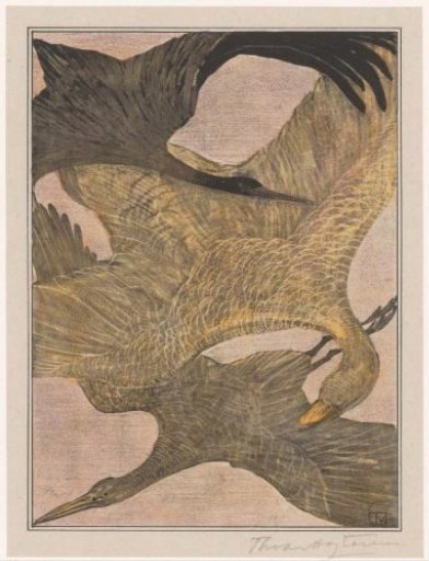 Three flying birds