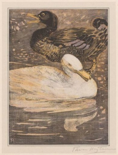 Two ducks