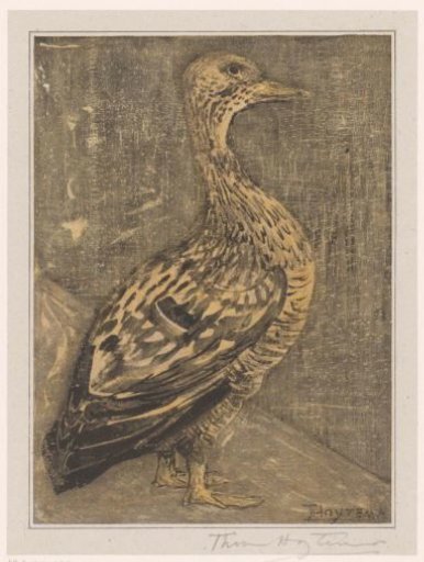 Standing duck