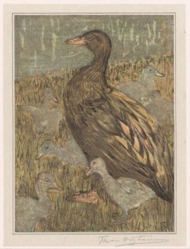 Duck with ducklings at the water's edge