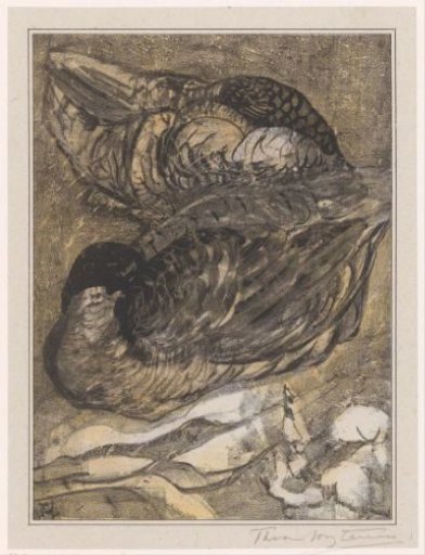 Two sleeping ducks