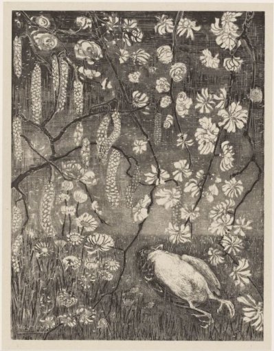 Dead bird under hazel and honeysuckle branches