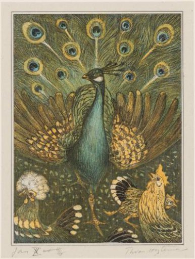 Peacock with Chickens
