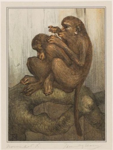Monkeys Fleaing