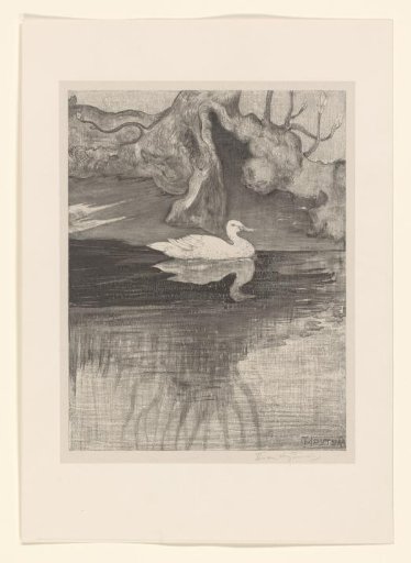 Pond with duck