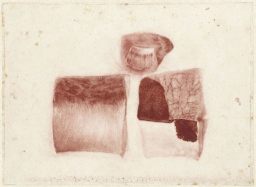 Anatomical Study of Human Skin and Nail