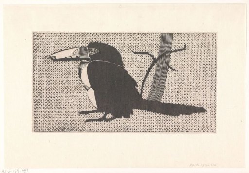 Toucan