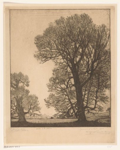 Two Silver Poplars near Santpoort