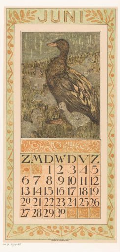 Calendar page June with duck with ducklings