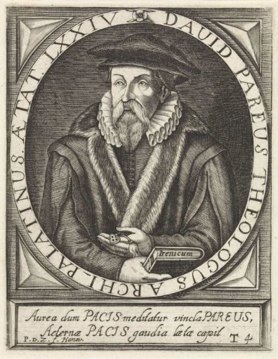 Portrait of David Pareus