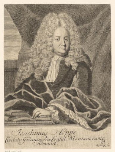 Portrait of Joachim Hoppe