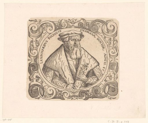 Portrait of Leonhard Fuchs