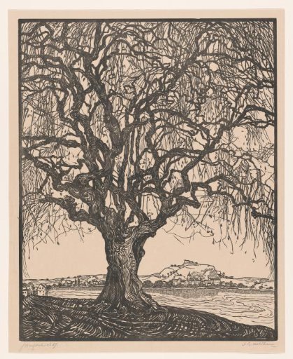Tree by a river