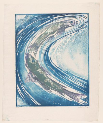 Two fish in a stream