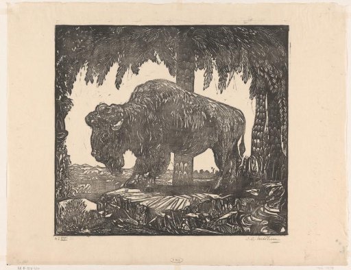 Buffalo