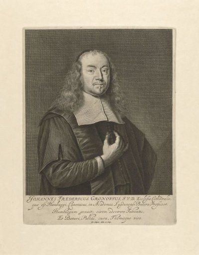 Portrait of Johannes Fredericus Gronovius
