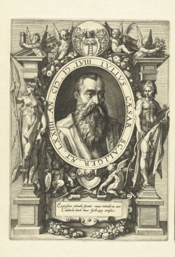 Portrait of Julius Caesar Scaliger