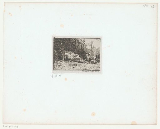 Shepherd with a herd of cows at the edge of a forest
