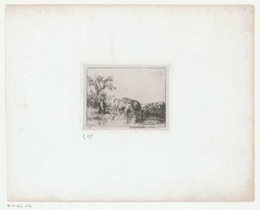 Woman with two cows in a landscape