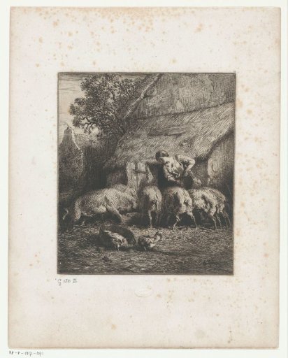 Peasant woman feeding pigs