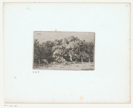 Figure with cow at the edge of the Forêt de Fontainebleau
