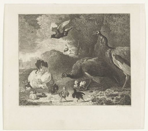 A hen with chicks threatened by two peacocks, known as 'The threatened hen'