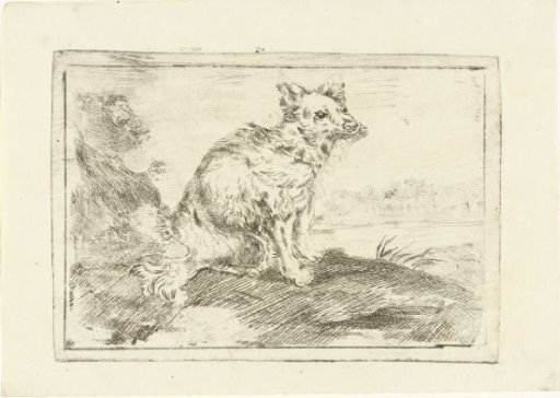 Dog with a Collar with Bells