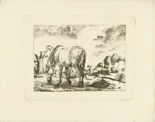 Horse in a Meadow