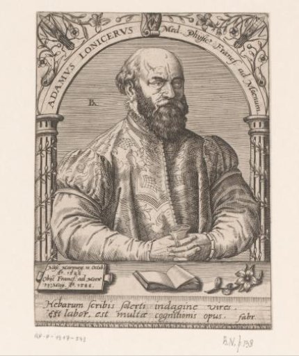 Portrait of Adam Lonitzer