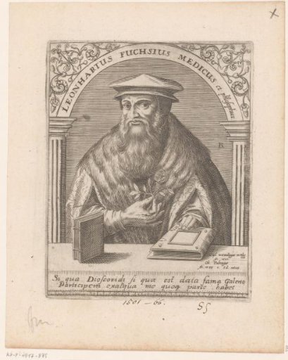 Portrait of Leonhart Fuchs