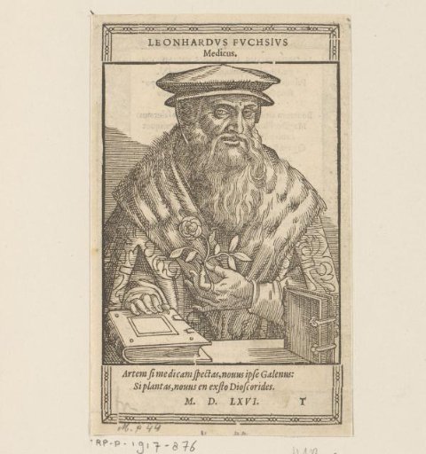 Portrait of Leonhart Fuchs
