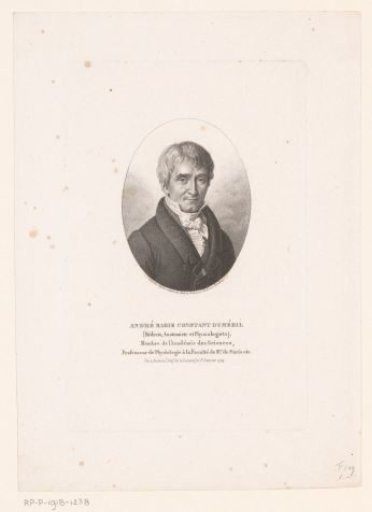 Portrait of André Marie Constant Duméril
