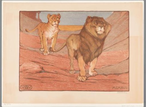 Lion and lioness