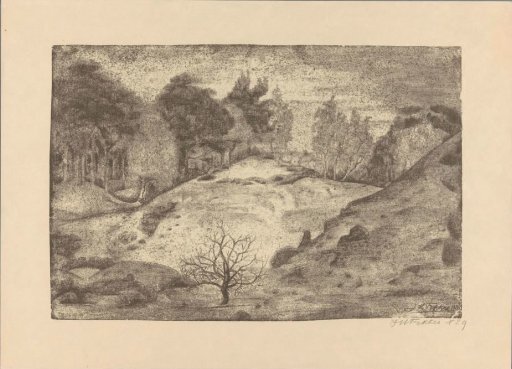 Heath near Laren