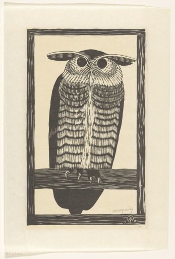 Horned owl