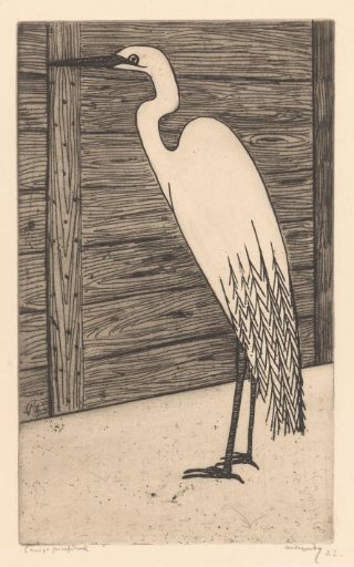 Silver heron