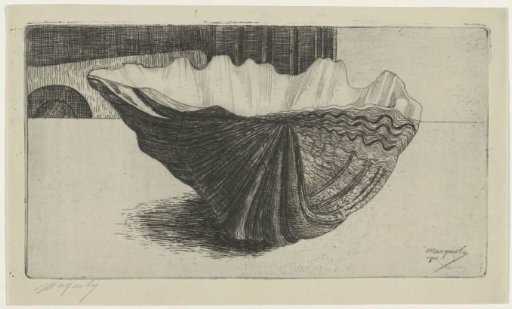 A shell, lying on a curve