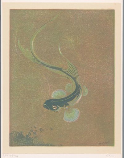 Swimming fish