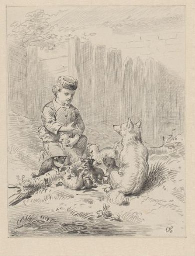 Child with dogs